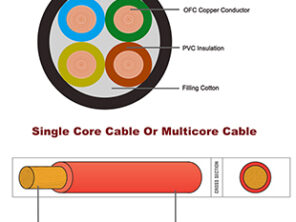 single core cable or multicore cable